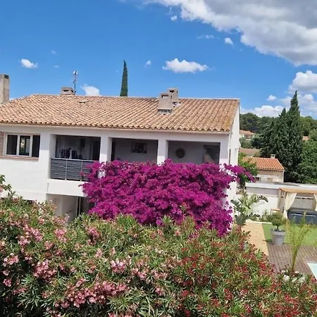 Ali Piscine, Jacuzzi A 700m De La Nyaraló *