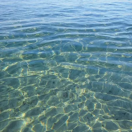 Nyaraló Ali Piscine, Jacuzzi A 700m De La La Ciotat