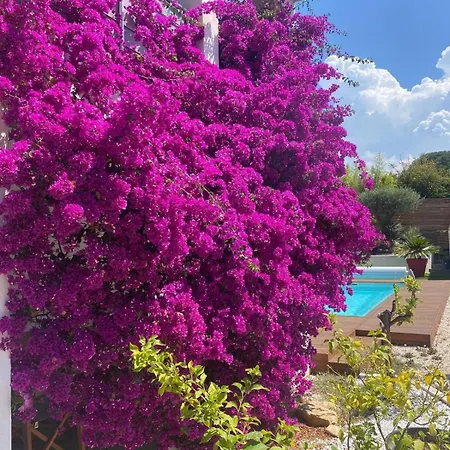 Ali Piscine, Jacuzzi A 700m De La *